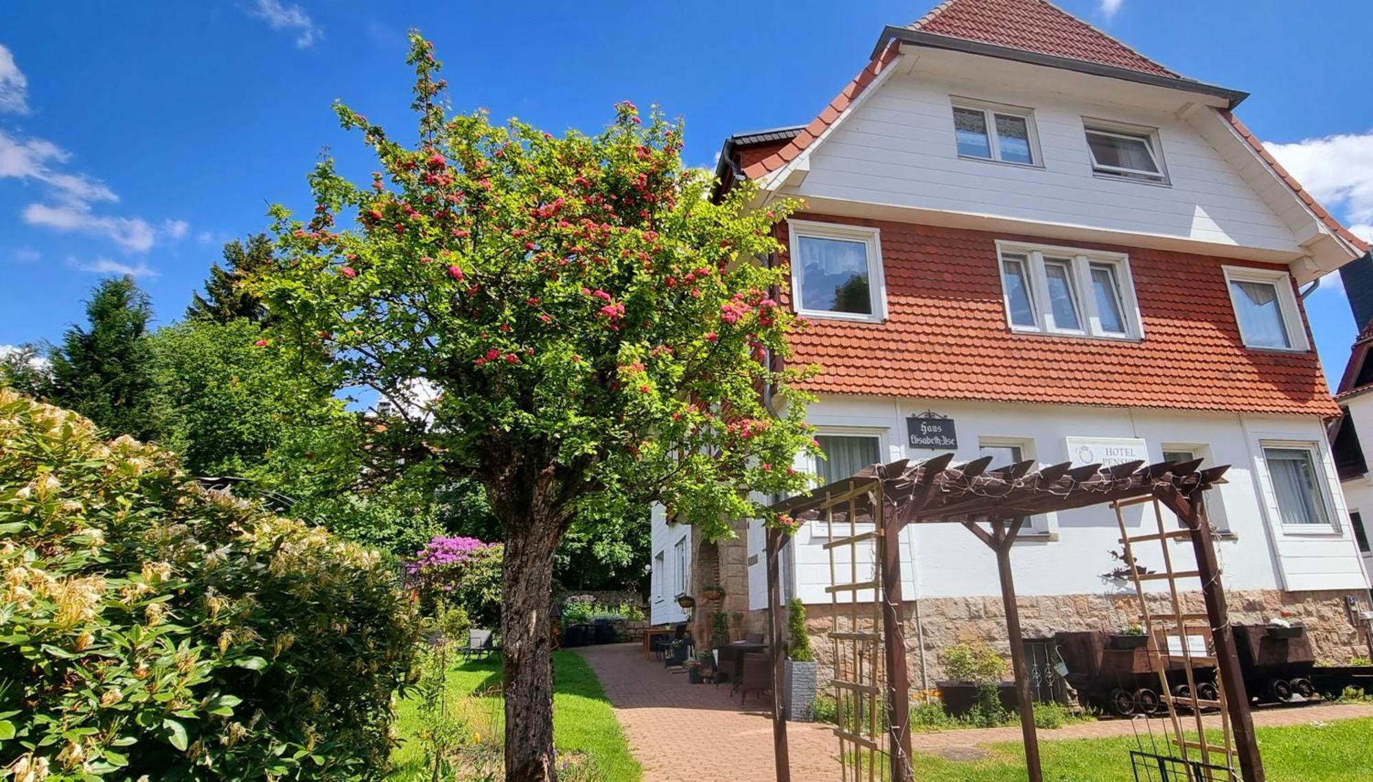 Hotel Elisabeth Ilse Braunlage Exterior foto